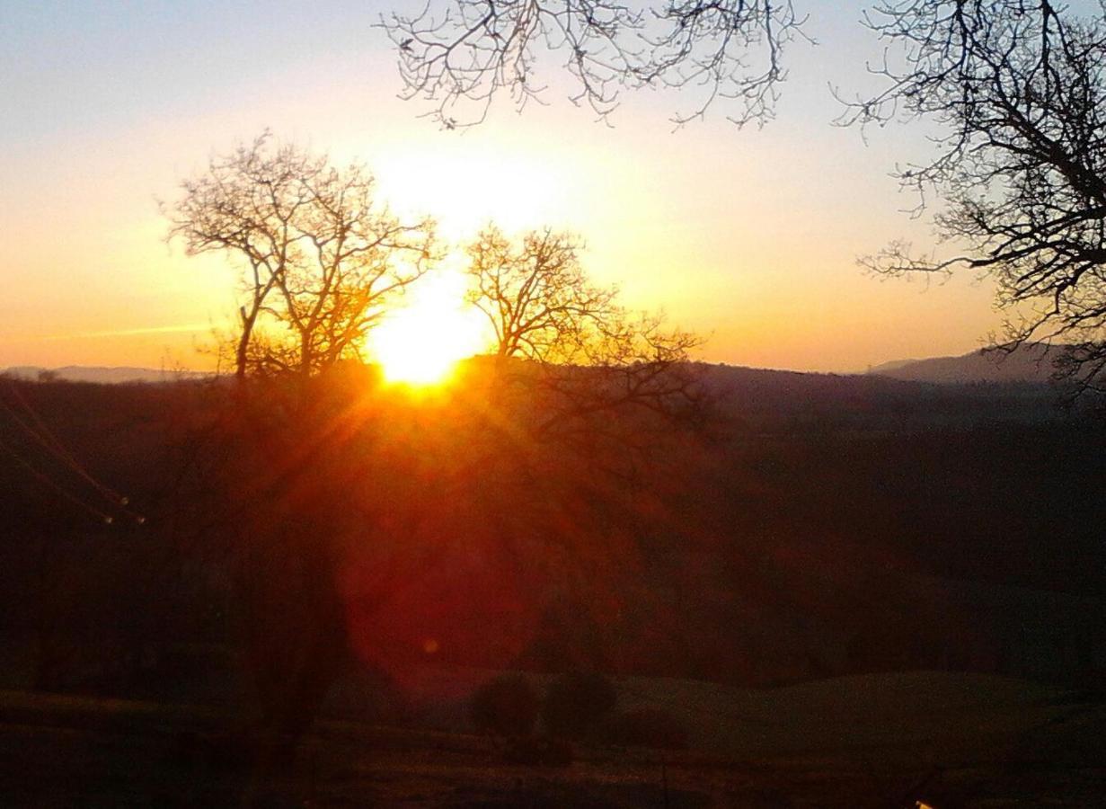 Il Laghetto Agriturismo Βίλα Manciano Εξωτερικό φωτογραφία