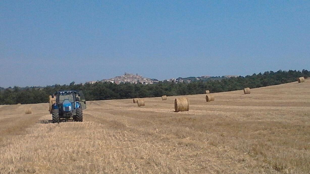 Il Laghetto Agriturismo Βίλα Manciano Εξωτερικό φωτογραφία